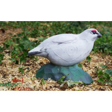 Natur Foam PTARMIGAN